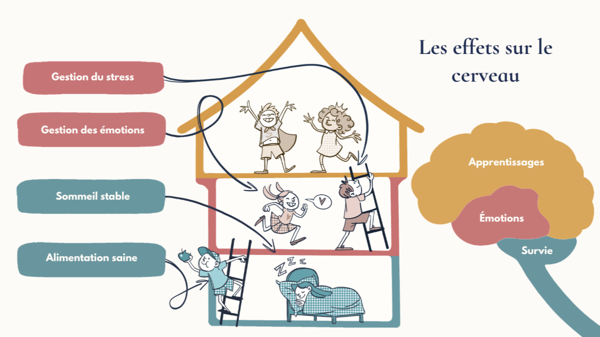 Difficultés scolaires et émotions : le cerveau à 3 étages